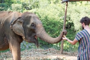 Elephant Sanctuary, Chiang Mai, Thailand