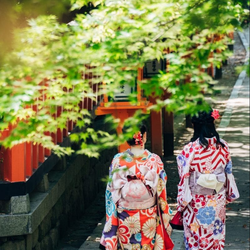 geishas in Kyoto on Japan Budget Tour
