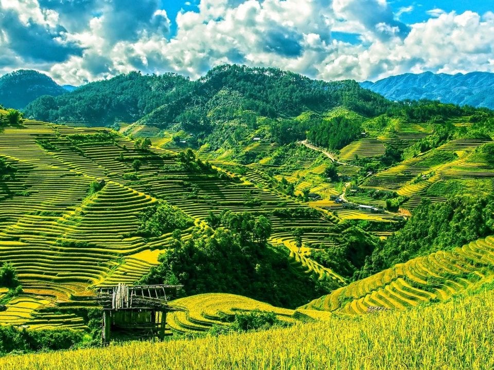 Rice Terraces on Luzon island