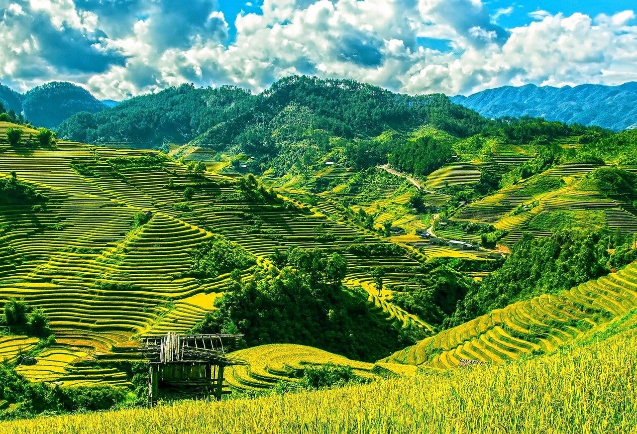 Rice Terraces on Luzon island